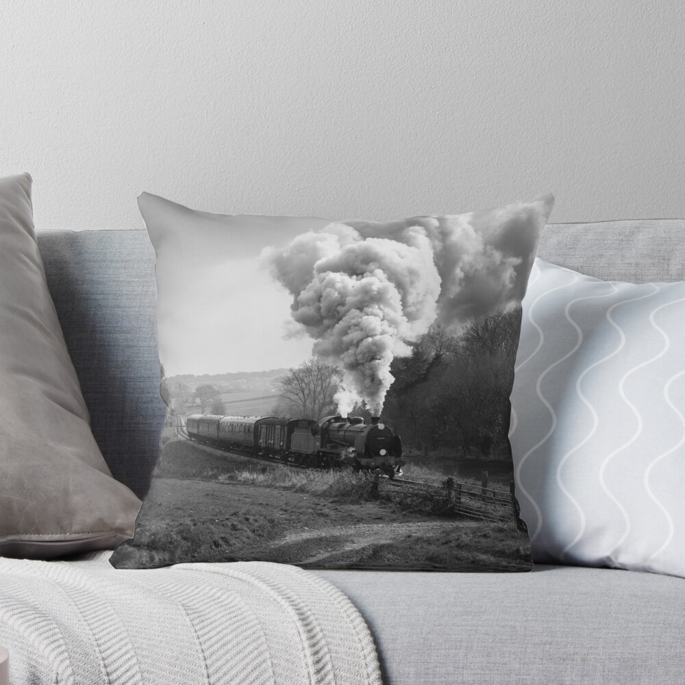 Item preview, Throw Pillow designed and sold by Rjmcveigh.