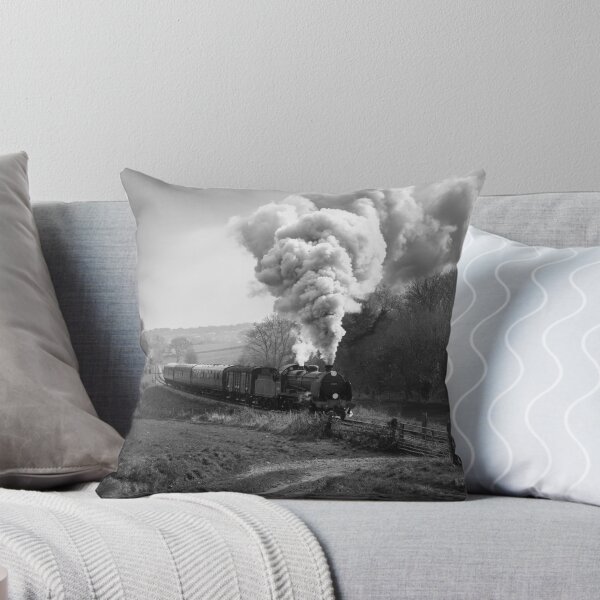 Item preview, Southern Steam designed and sold by Rjmcveigh.