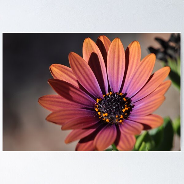 Item preview, Unknown Flower designed and sold by MaryLynn.