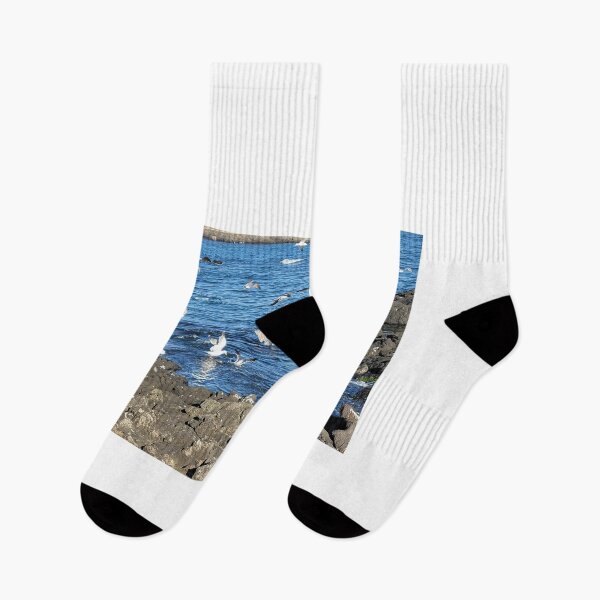 Item preview, Migratory birds of Jeju sea, korea designed and sold by human8891.