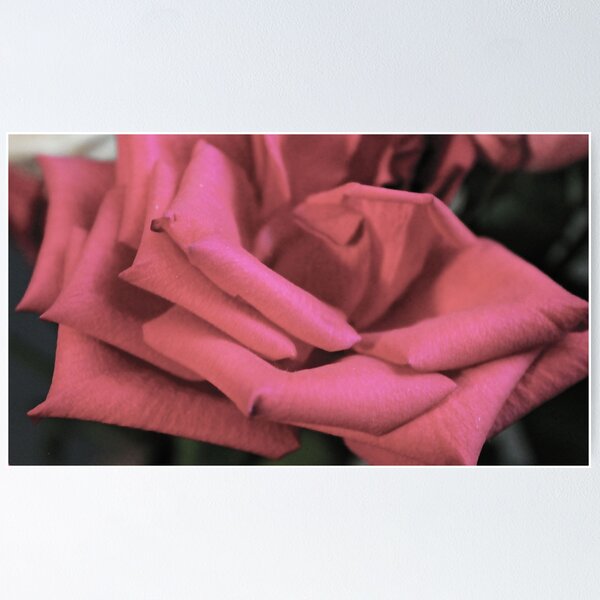 Item preview, Pink Flower 9 designed and sold by rebeccaholbrook.