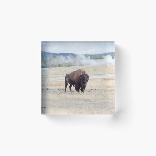 Item preview, Buffalo and Geyser designed and sold by Allen Penton.