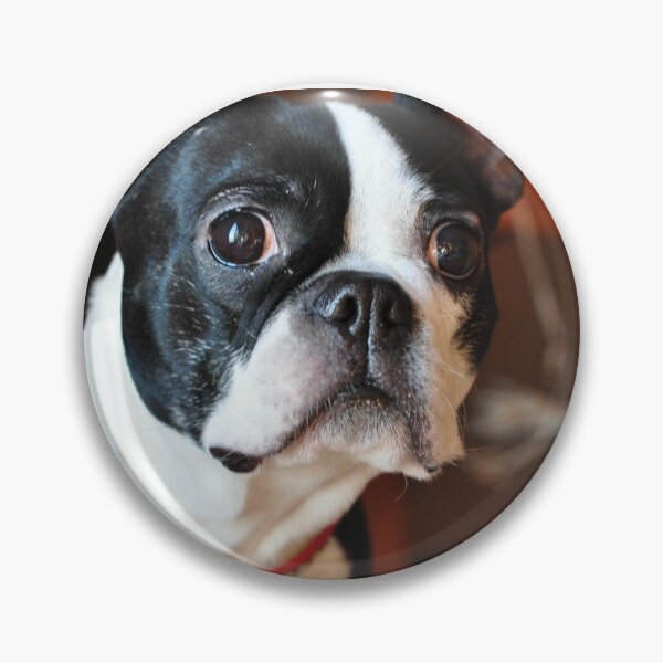 Item preview, Caddie designed and sold by MaryLynn.