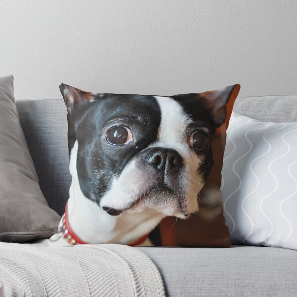 Item preview, Caddie designed and sold by MaryLynn.