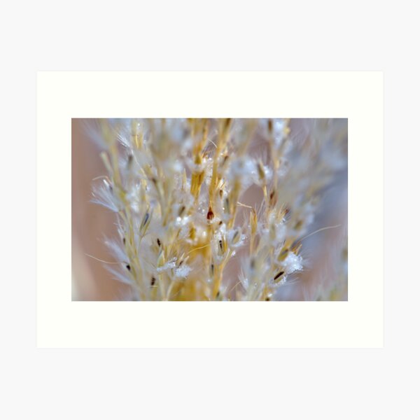 Artikelvorschau, Dainty Grasses entworfen und verkauft von MaryLynn.