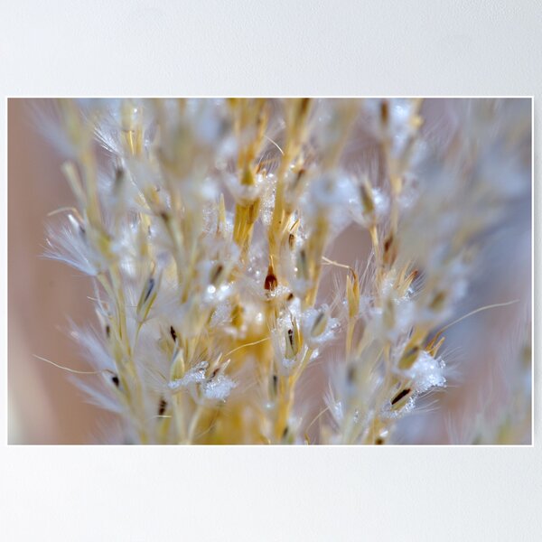 Aperçu de l'œuvre Dainty Grasses créée et vendue par MaryLynn.
