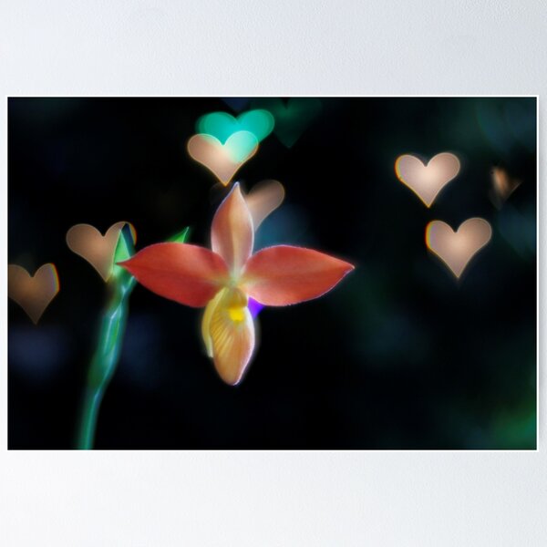 Artikelvorschau, Orchideen-Valentinstag entworfen und verkauft von ztrnorge.