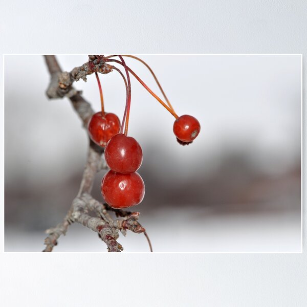 Item preview, Hi Ho Cherry-O designed and sold by MaryLynn.