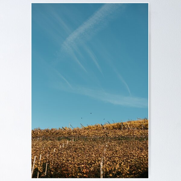 Item preview, Vineyard overlooking the sky  designed and sold by thestorycrafter.