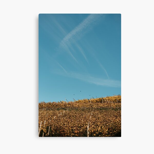 Item preview, Vineyard overlooking the sky  designed and sold by thestorycrafter.