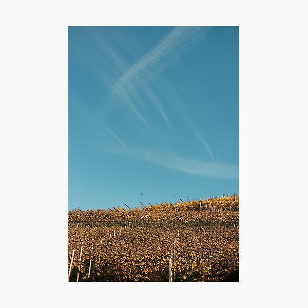 Item preview, Vineyard overlooking the sky  designed and sold by thestorycrafter.