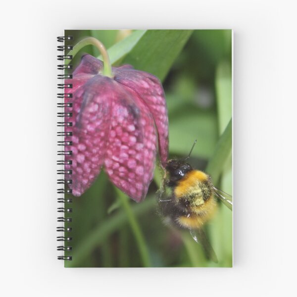 Item preview, Friendly Bee on Snakes head Fritillary  designed and sold by AnnDixon.