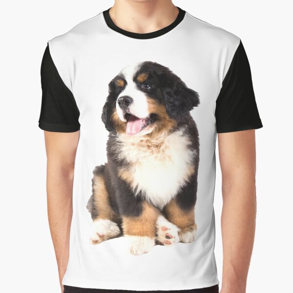 bernese mountain dog t shirts