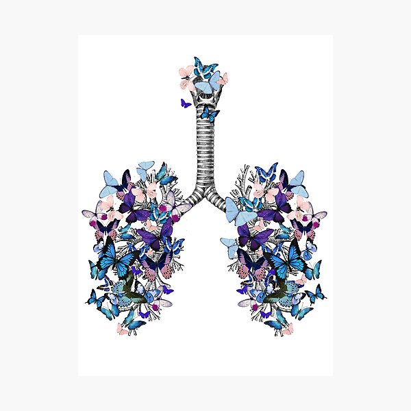 Item preview, lungs blue butterflies, anatomy, watercolor designed and sold by Collagedream.