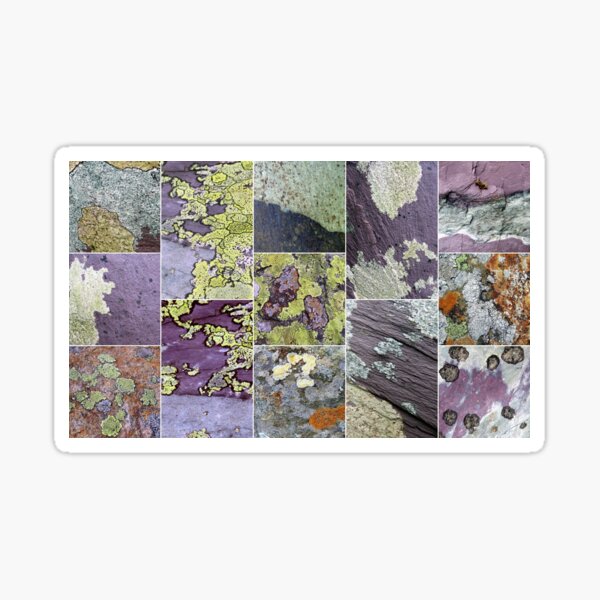 Item preview, lichen designed and sold by KathleenDawson.