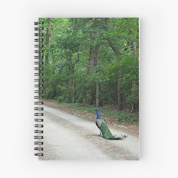 Item preview, Peacock Road designed and sold by Jenny Brice.