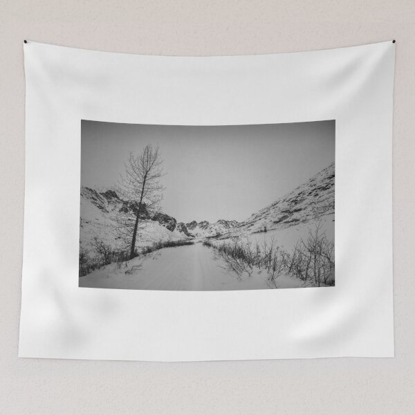 Item preview, Hatcher Pass in Winter designed and sold by Ian Christopher.