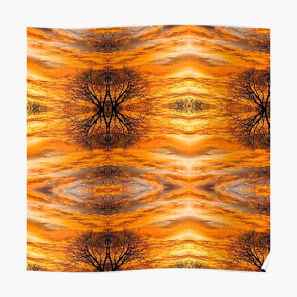 Golden Eyes - Macro Poster