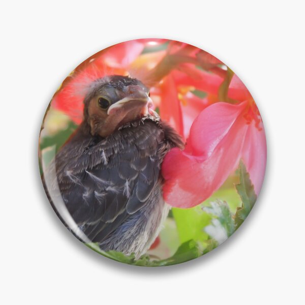 Artikelvorschau, Kardinal Chick entworfen und verkauft von Abbeyviolet.