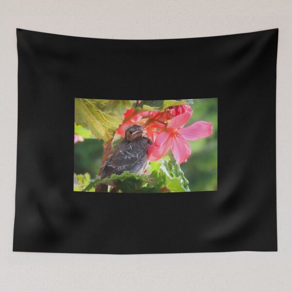 Item preview, Cardinal Chick designed and sold by Abbeyviolet.