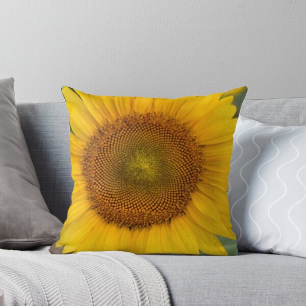 Aperçu de l'œuvre Photographie de l'heure d'été de tournesol créée et vendue par BeerMetal.