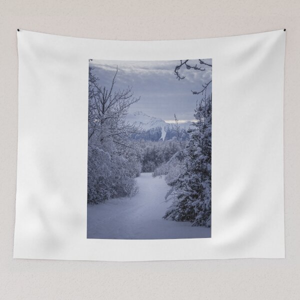 Item preview, Serene Alaskan Winter designed and sold by Ian Christopher.