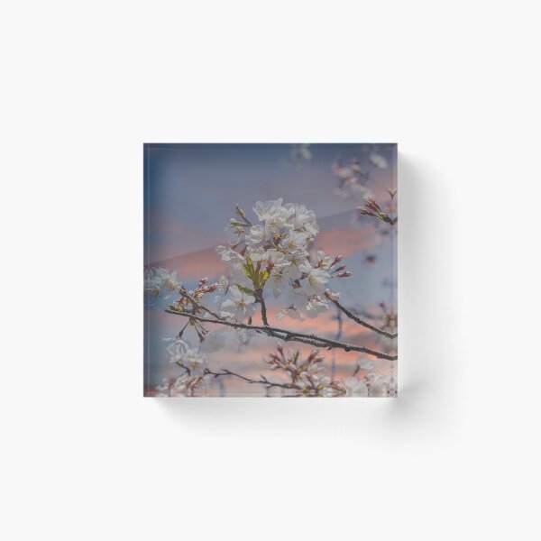 Item preview, Cherry Tree at Dusk designed and sold by dbvirago.
