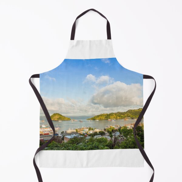 Item preview, A view over the town of Labuan Bajo and harbour in the morning, Indonesia designed and sold by SnapTPhotograph.