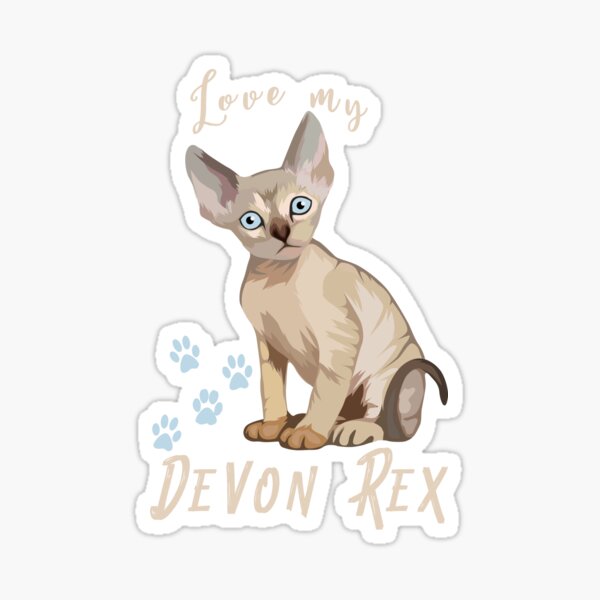Love my Devon Rex cat Sticker