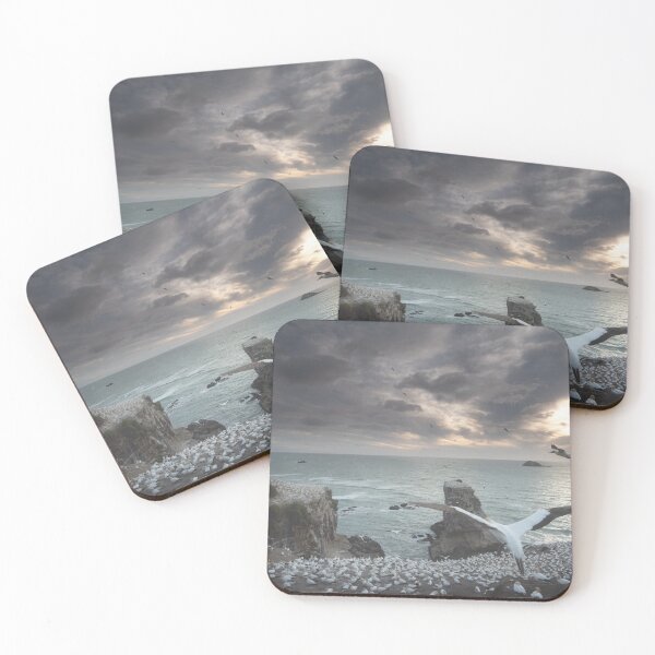 Item preview, Gannet Colony Auckland New Zealand  designed and sold by earlcooknz.