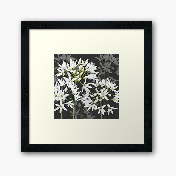 Ramsons - Wild Garlic - White Flowers Framed Art Print
