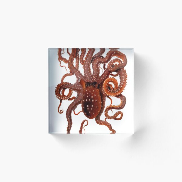 Item preview, Octopus  designed and sold by svtu70.