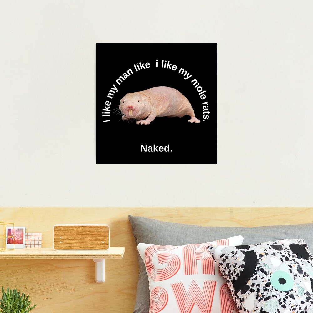 I like my man like i like my mole rats. Naked. - Sexy mole rat