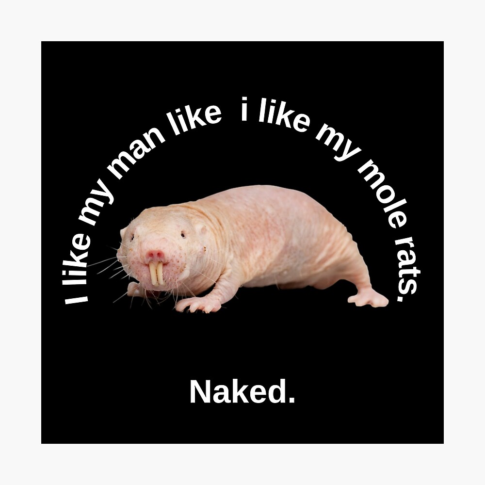 I like my man like i like my mole rats. Naked. - Sexy mole rat