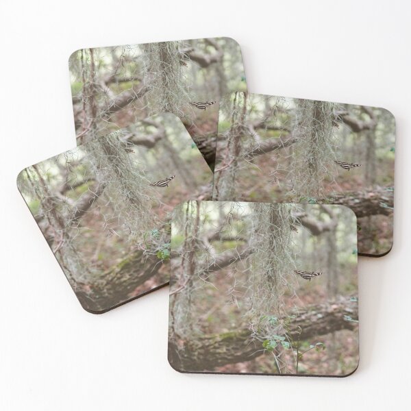 Item preview, zebra longwing designed and sold by distracted.