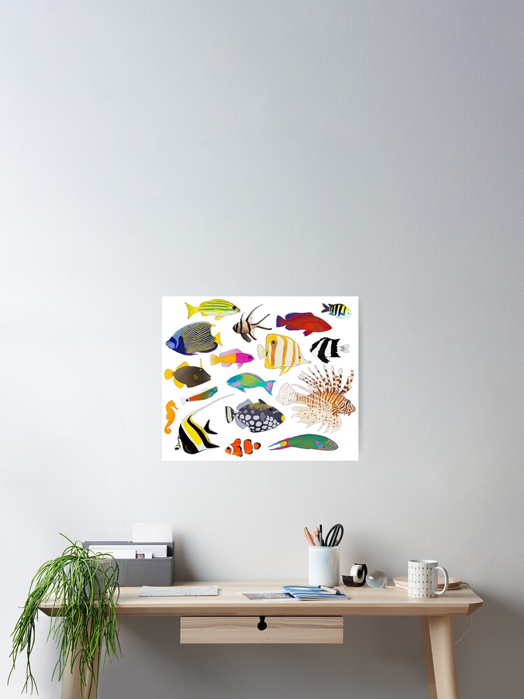 Coral Reef Fishes Poster