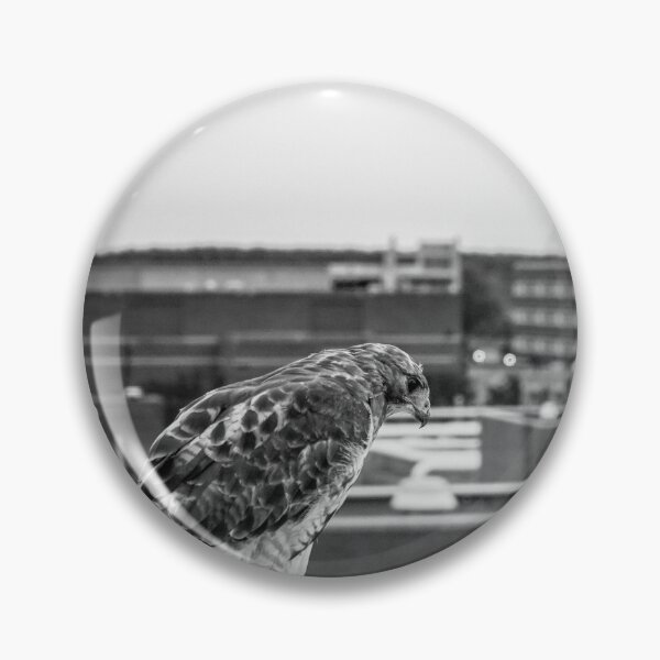 Item preview, September 15 - Hawk designed and sold by StormChaseSam.