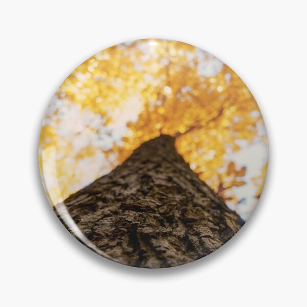 Item preview, October 14 - Looking Up designed and sold by StormChaseSam.
