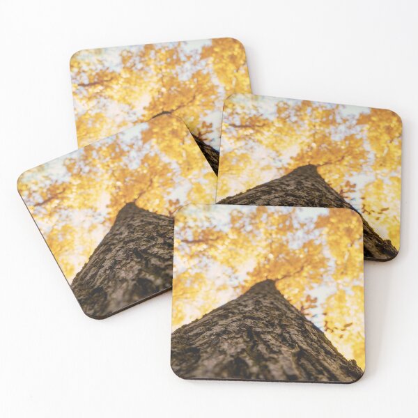 Item preview, October 14 - Looking Up designed and sold by StormChaseSam.