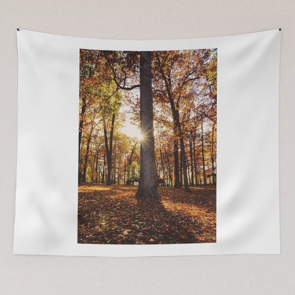 Item preview, October 23 - Peak designed and sold by StormChaseSam.