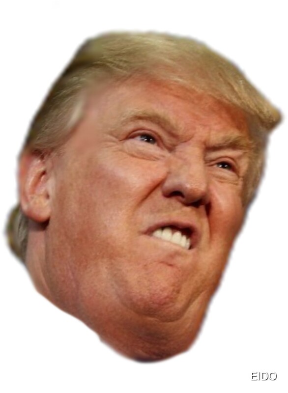"TRUMP FACE" Stickers by EIDO | Redbubble