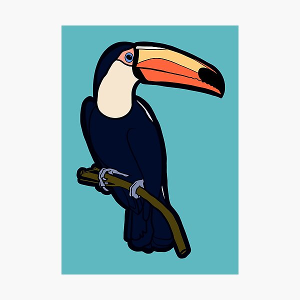 Aperçu de l'œuvre Oiseau Toucan Toco Tropical créée et vendue par SketchEguy.