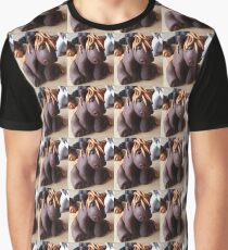 Shetland pony Graphic T-Shirt