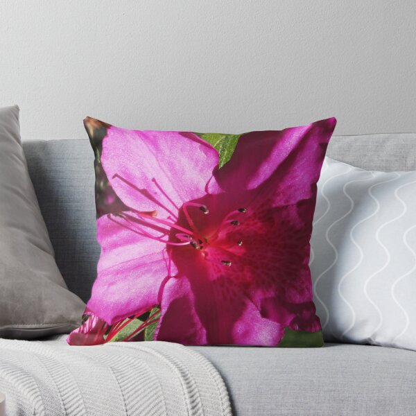 Item preview, Pink Flower 20 designed and sold by rebeccaholbrook.