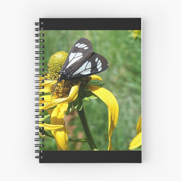 Item preview, He Loves Me He Loves Me Not designed and sold by Shilohlin Pfeiffer.