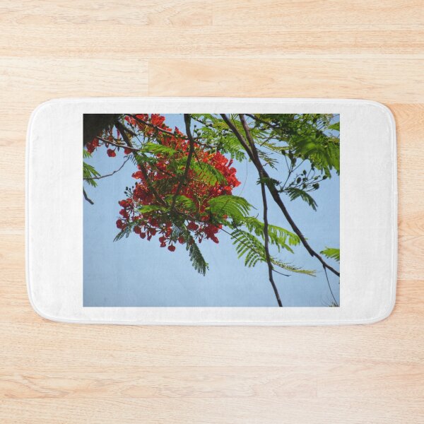 Item preview, Royal Poinciana Flowers designed and sold by abacoian.