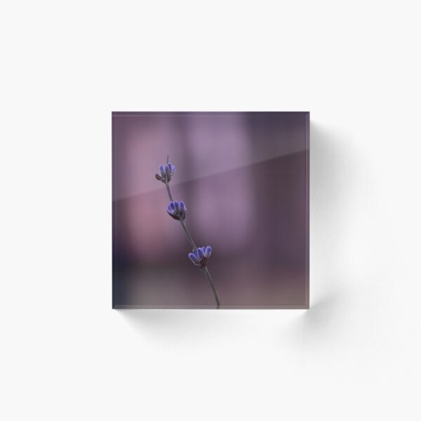 Lavender Acrylic Block