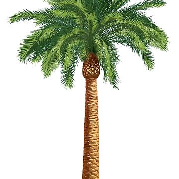 Artwork thumbnail, Palm tree by missgrumpypants