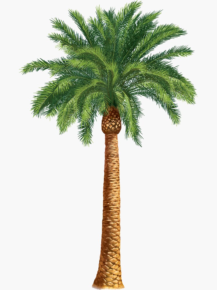 Palm Tree Sticker for Sale by Costeen  Palm tree sticker, Tree stickers,  Tumblr stickers
