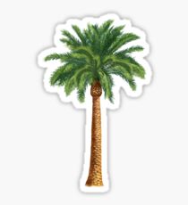 Palm tree Sticker